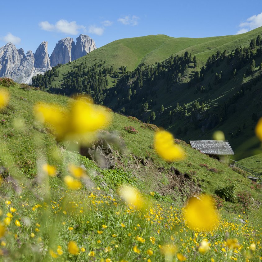 © 2025 Hotel Miramonti